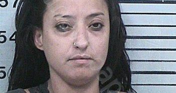 STICKLES, PATRICIA LEE | 2025-04-12 19:35:21 Hood County, Texas Booking