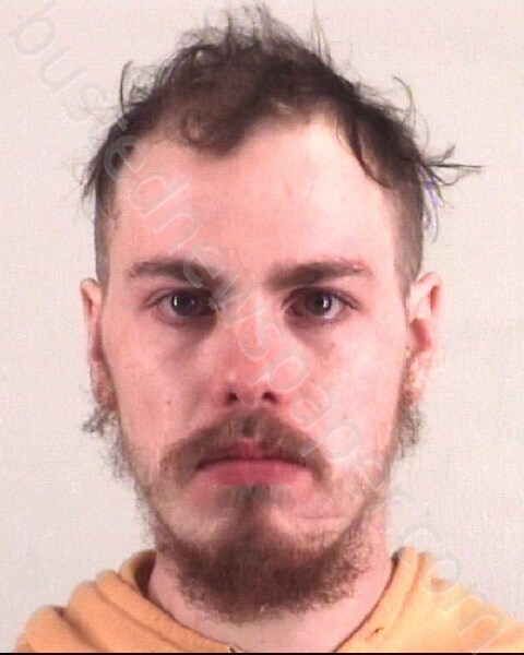 LIVINGSTON, ETHAN GEORGE #, Tarrant County, Texas - 2025-04-12
