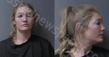 WAGNER, RACHEL S | 2025-04-13 09:37:00 Madison County, Indiana Booking