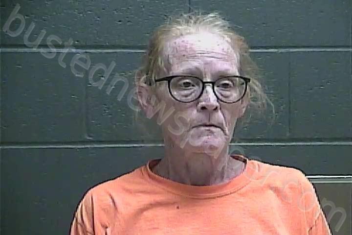 BRINKSNEADER, MARY KAY #, Perry County, Indiana - 2025-04-13 16:44:00