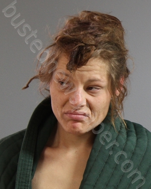 MOORE,CAMRON RAE #, Palo Pinto County, Texas - 2025-04-13