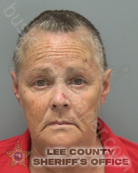 CHAMBERS, RENEE CYNTHIA #, Lee County, Florida - 2025-04-13 01:38:00