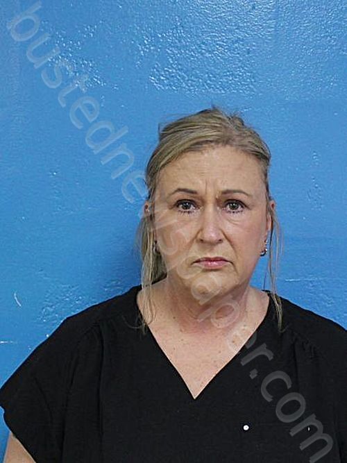 LEE, ROSE MARY #, Sullivan County, Tennessee - 2025-04-13 18:06:00