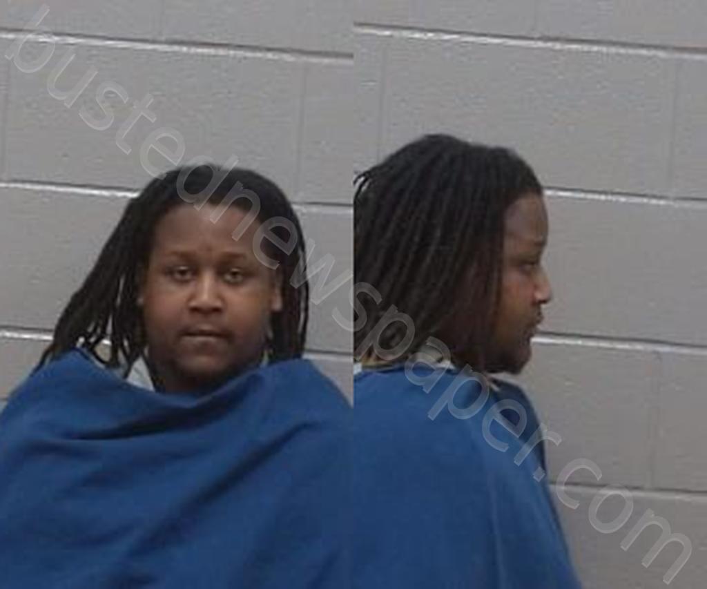 ROBINSON, BRANDON MICHAEL #, Wichita County, Texas - 2025-04-14