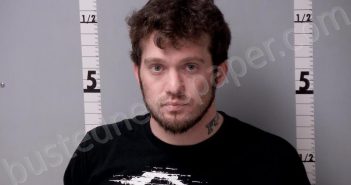 RISLEY, KRISTOPHER MICHAEL | 2025-04-14 13:59:00 Gratiot County, Michigan Booking