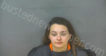 DICKERSON, SIERRA ROSE | 2025-04-14 10:55:00 Lynchburg, Virginia Booking