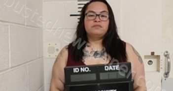 AMALIA DEANDA | 2025-04-14 08:58:00 Terry County, Texas Booking