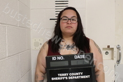 AMALIA DEANDA #, Terry County, Texas - 2025-04-14 08:58:00