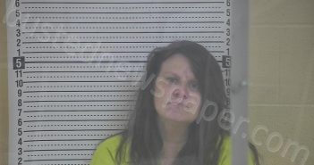 KENDRICK, MEGAN ELIZABETH | 2025-04-14 12:30:00 Taylor County, Kentucky Booking