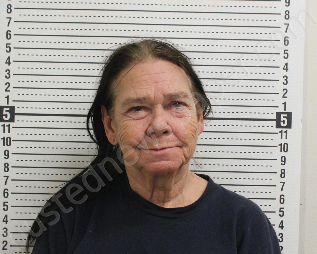 Wescott, Linda L 20250414 222500 Ross County, Ohio Booking