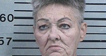 NELSON, VICKI LYNE | 2025-04-14 19:03:14 Hood County, Texas Booking