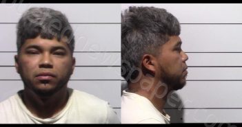 <B>GARZA</B> RUBIO, JOSE <B>GERARDO</B> #, Gillespie County, Texas - 2025-04-14