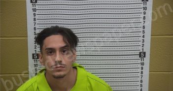 ANAYA – DOMINGUEZ, MICHAEL | 2025-04-15 02:06:00 Grant County, New Mexico Booking