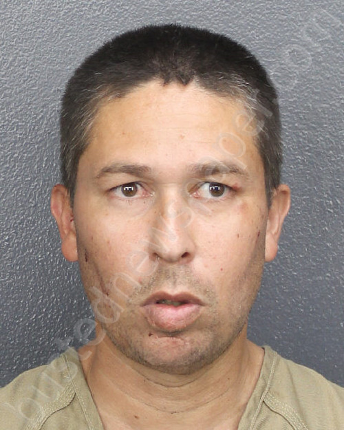 GUEVARA, DAVID ALEJANDRO #, Broward County, Florida - 2025-04-15