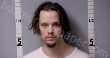 OVERSTREET, BRANDON ALAN | 2025-04-15 02:15:00 Gratiot County, Michigan Booking