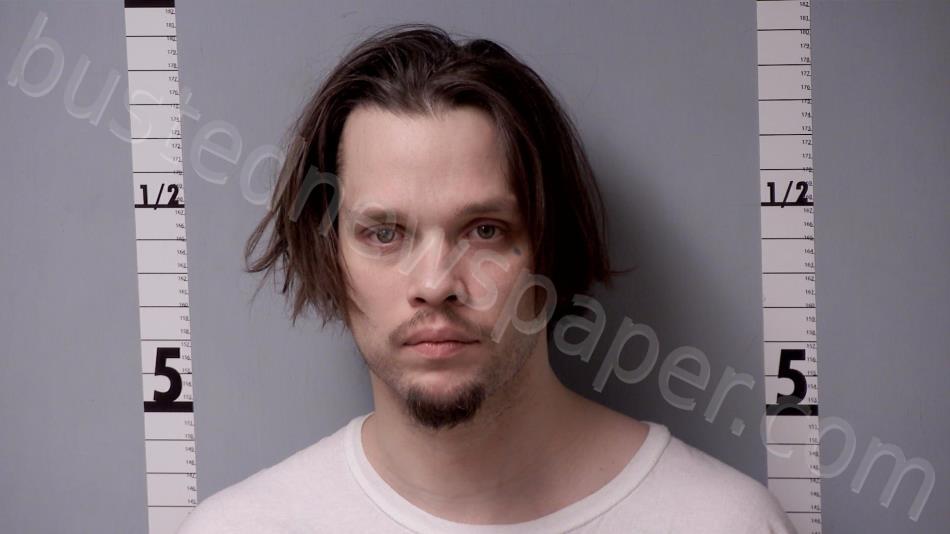 OVERSTREET, BRANDON ALAN #, Gratiot County, Michigan - 2025-04-15 02:15:00