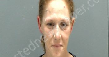 <B>RUSSELL</B>, <B>BRANDY</B> CAROLYN #, Darlington County, South Carolina - 2025-04-15 11:00:00