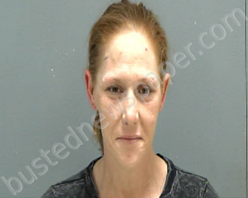 RUSSELL, BRANDY CAROLYN #, Darlington County, South Carolina - 2025-04-15 11:00:00