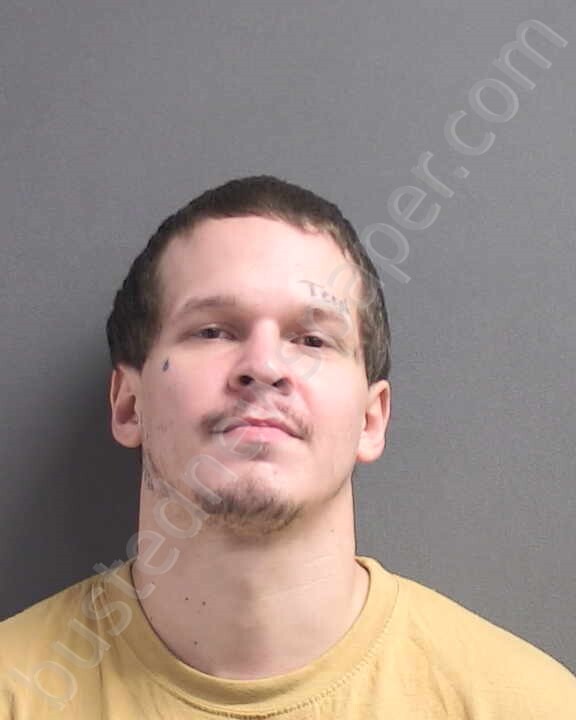 SCHALLER, JAMES EDWARD #, Volusia County, Florida - 2025-04-15 14:25:00
