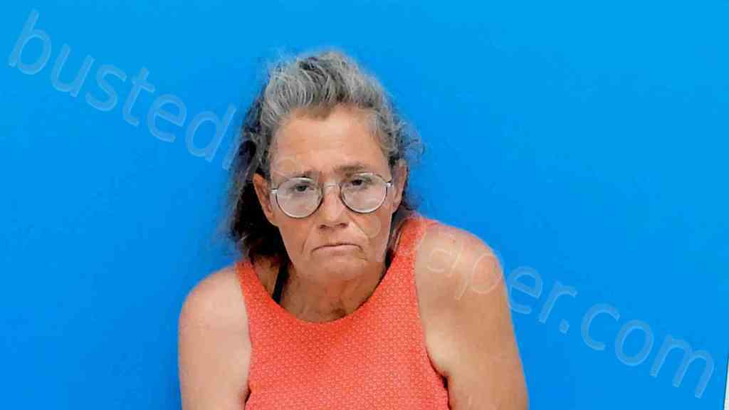 HENLEY, SHELIA NICHOLE #, Catawba County, North Carolina - 2025-04-16