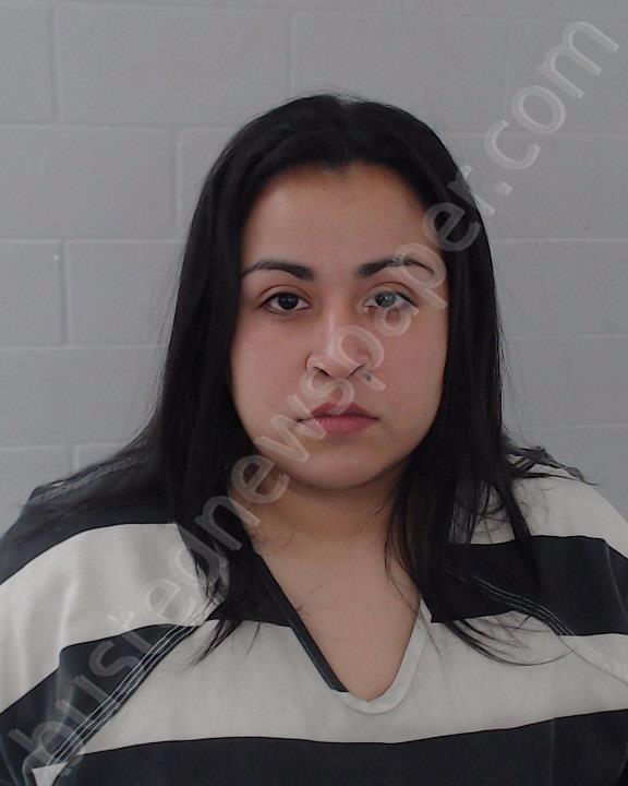 PONCE, KRISTINA MARIA #, Johnson County, Texas - 2025-04-16