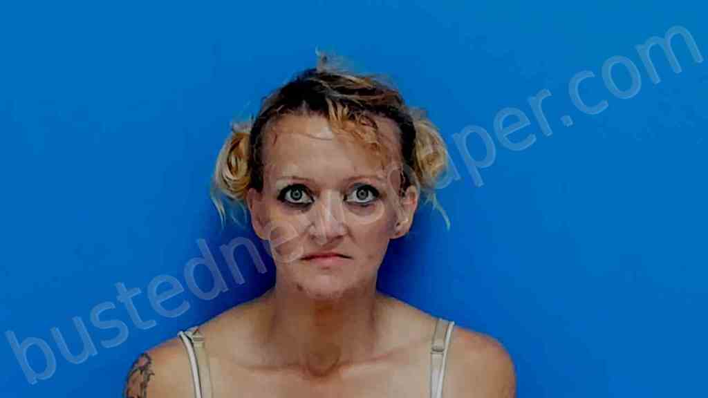COOK, HEATHER MARIE #, Catawba County, North Carolina - 2025-04-16