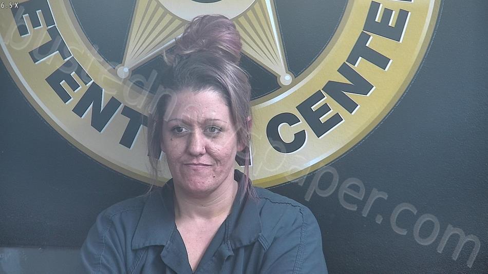 MCARTHUR, KRISTINA #, Bell County, Kentucky - 2025-04-16 02:31:00