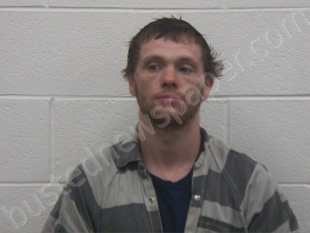 TEAGUE, BRANDON RULE #, Loudon County, Tennessee - 2025-04-17 14:53:00