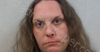 WYANT, ALICIA MARIE | 2025-04-17 17:05:00 Gilmer County, West Virginia Booking
