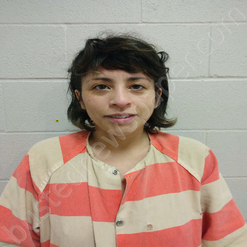 MENDOZA, ARIANA ALEJANDRA #, Brown County, Texas - 2025-04-17 14:44:00