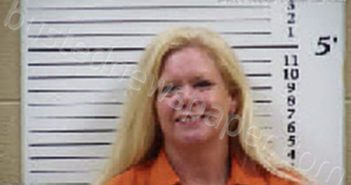 FOSTER, TIFFANY LYNN | 2025-04-17 11:24:00 Cherokee County, North Carolina Booking