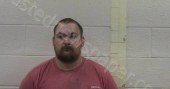 JONES, TRACY L | 2025-04-17 16:36:00 Perry County, Tennessee Booking