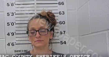 PARKER, BUFFY J | 2025-04-17 06:50:44 Massac County, Illinois Booking
