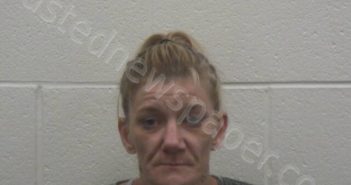 KALB, ASHLEY CAROL | 2025-04-17 20:42:00 Loudon County, Tennessee Booking