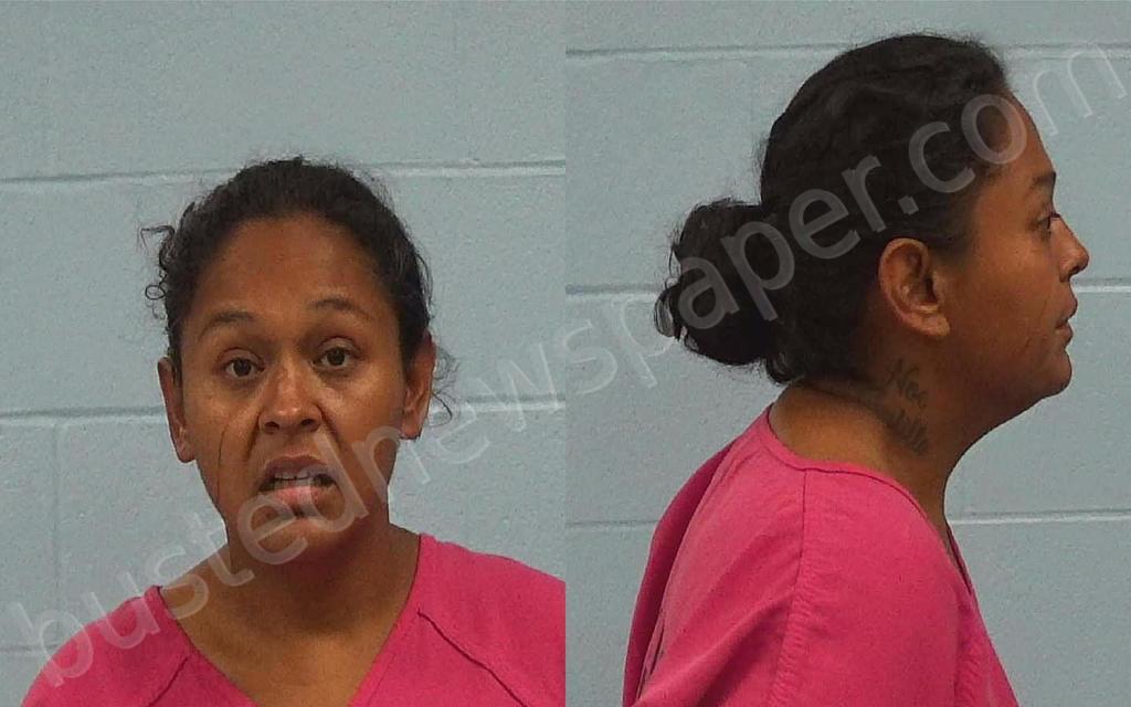CASTILLO, ALYSSA #, Williamson County, Texas - 2025-04-18