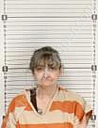 SUMMERS, GAYLE ANNE #, Williams County, North Dakota - 2025-04-18