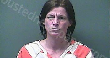 LOWERY, BRIDGETT RENAE | 2025-04-18 04:09:00 Laporte County, Indiana, La Porte County, Indiana Booking