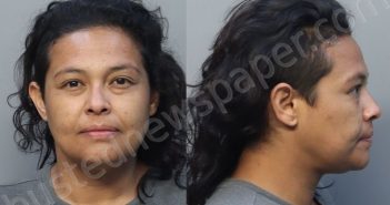 SANCHEZ, MARIA IRENE | 2025-04-18 18:23:00 Miami-Dade County, Florida Booking