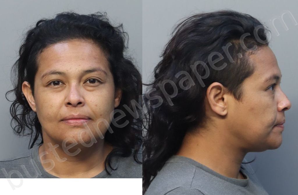 SANCHEZ, MARIA IRENE #, Miami-Dade County, Florida - 2025-04-18 18:23:00