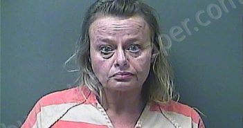 DYE, ROSEANN ROCHELLE | 2025-04-18 13:24:00 Laporte County, Indiana, La Porte County, Indiana Booking