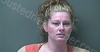WARREN, KRISTINA | 2025-04-18 09:53:00 Laporte County, Indiana, La Porte County, Indiana Booking