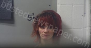 REMY, BRITTANY R | 2025-04-19 03:13:00 Lewis County, Kentucky Booking