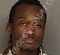 <B>WILLIAMS</B>, <B>XAVIER</B> DAVID #, Colleton County, South Carolina - 2025-04-19