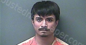 DIAZ, LUIS AUGUSTO | 2025-04-19 19:46:00 Laporte County, Indiana, La Porte County, Indiana Booking