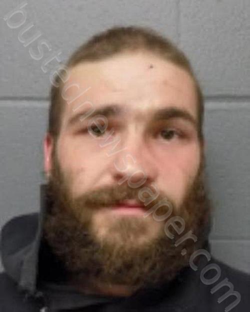 ROBINSON, ADAM L #, Delaware County, New York - 2025-04-19 04:48:00