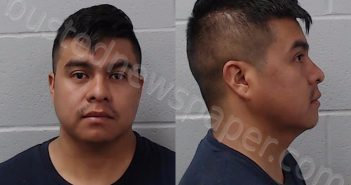 <B>GONZALEZ</B>, <B>ALEXIS</B> VILCHIS #, Hays County, Texas - 2025-04-19