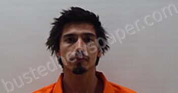 CADENA TORRES ALEXANDER | 2025-04-20 Cameron County, Texas Booking