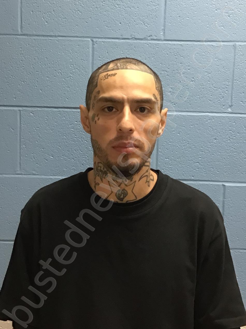 FERNANDEZ, MARCOS LORENZO, SR #, Henry County, Missouri - 2025-04-20 04:30:00