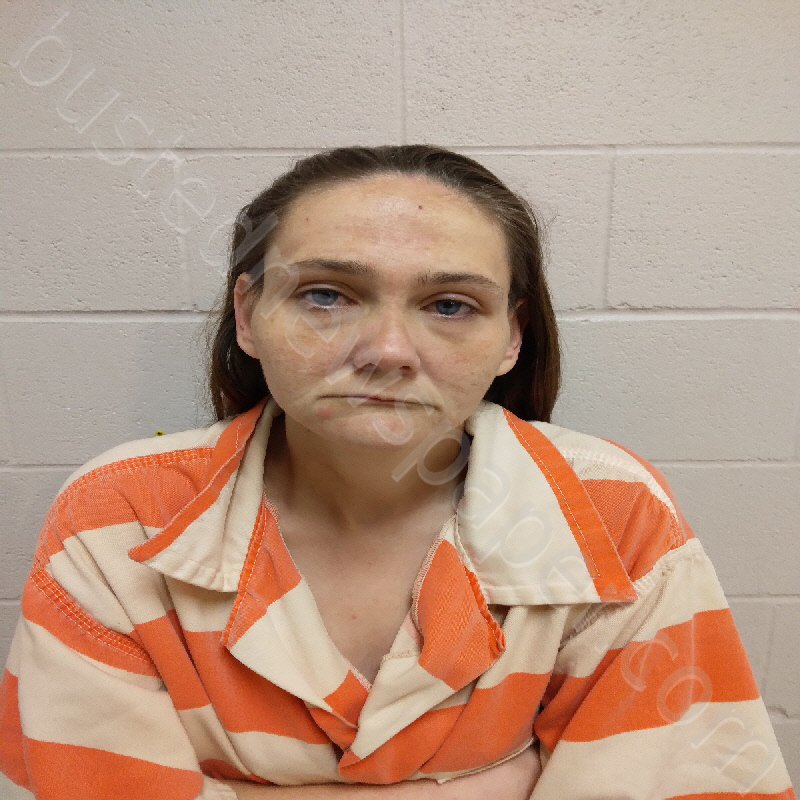MCCARTY, JOANNA MARIE #, Brown County, Texas - 2025-04-20 17:02:00