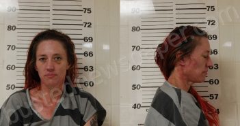 <B>POWELL</B>, <B>VALERIE</B> <B>RENEE</B> #, Henderson County, Texas - 2025-04-20